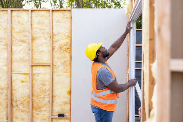 Best Residential Insulation Services  in Kahului, HI